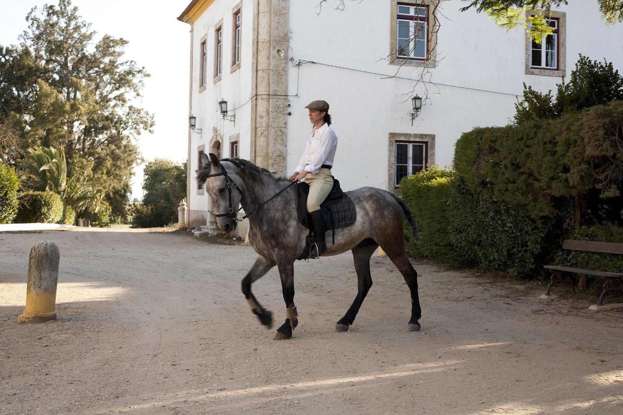 Quinta Dos Alamos Agroturismo Golegã Exterior photo