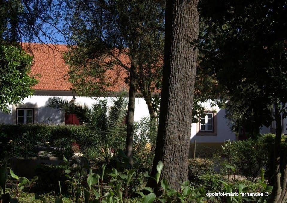 Quinta Dos Alamos Agroturismo Golegã Exterior photo